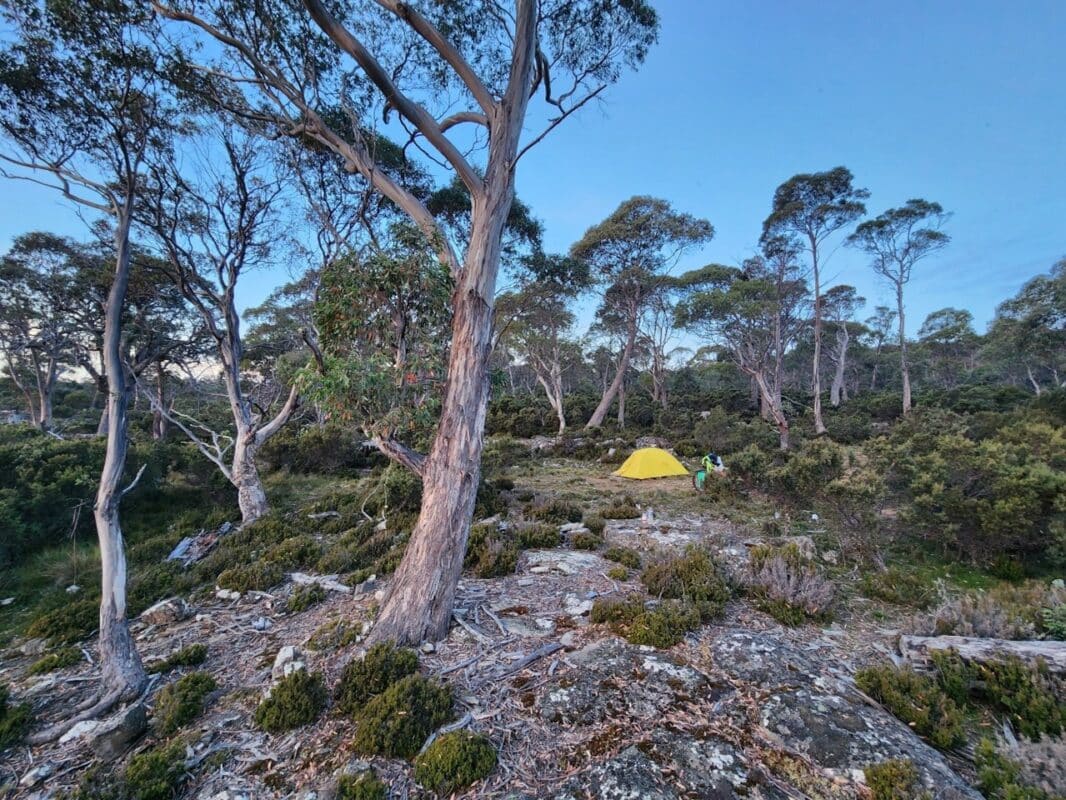 A yellow dome tent with a bicycle next to it stands on rocky ground surrounded by dry eucalypt forest.