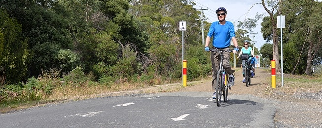 A man wearing a blue tshirt stands on his pedals as he comes through bright yellow and red bollards from a dirt trail to apshalt, with bush on either side and riders behind him.